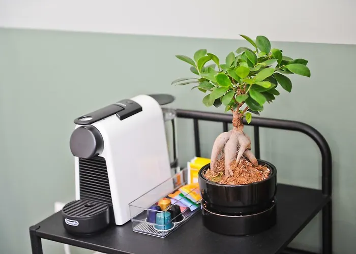 Red, Red Wine In By Misha's Place 3b